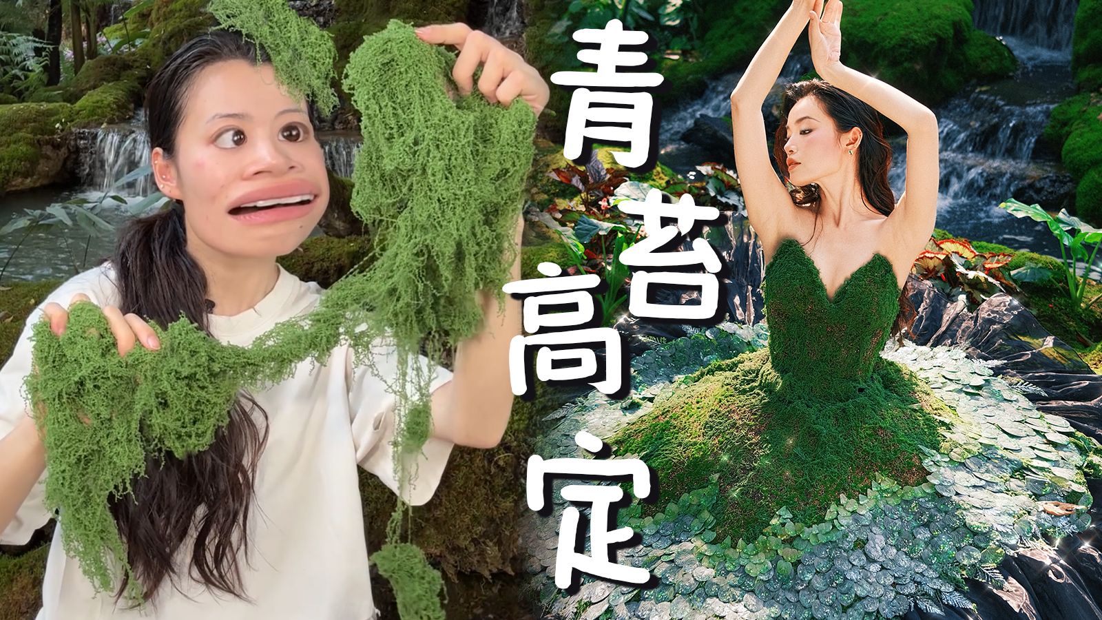 听说你们想看我穿青苔？