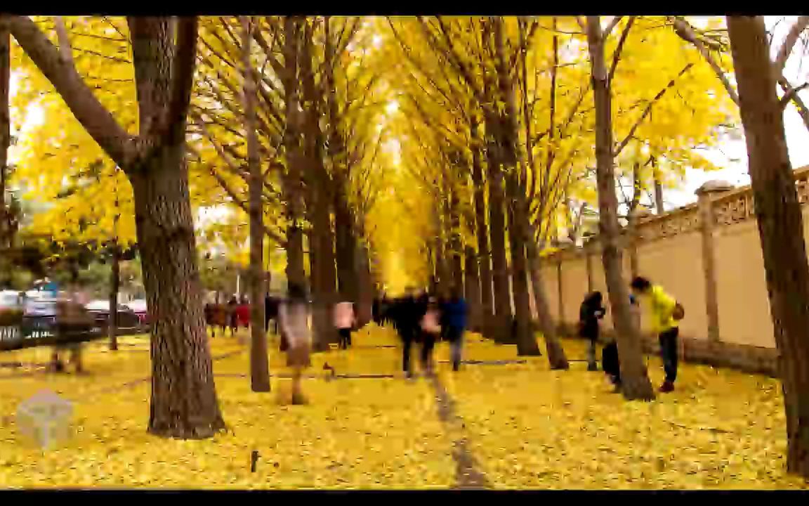Beijing Time Lapse 4K bilibili beijing-time-lapse-4k-bilibili