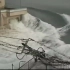 保存珍贵的日本海啸视频