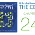 《细胞的分子生物学》第24章 天然免疫与适应性免疫 配套视频（字幕重制版）