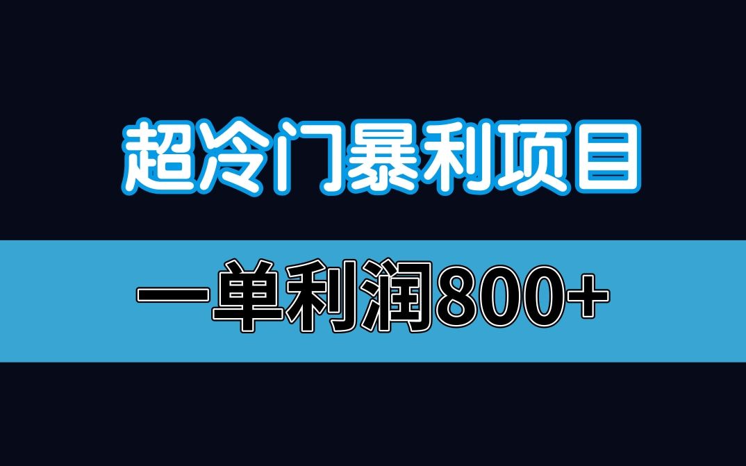 超冷门的暴利副业,一单利润800块哔哩哔哩bilibili