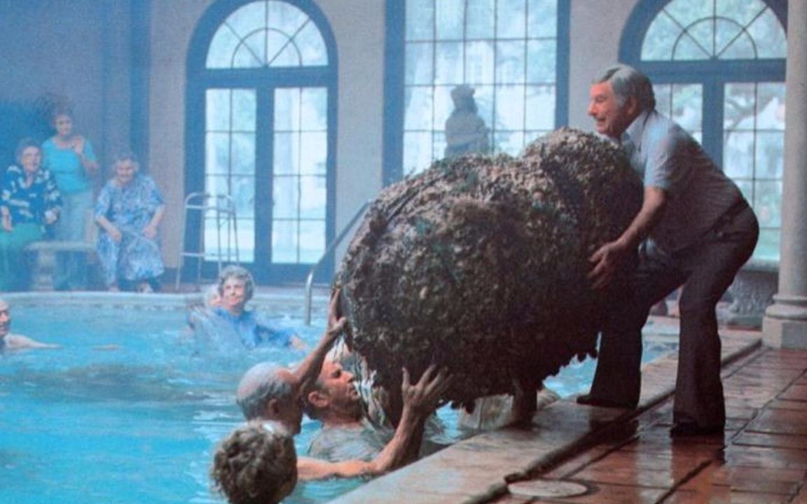 一部温情科幻喜剧《魔茧》，老人们去泳池游泳，却发现这里可以让他们返老还童！