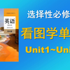 （完集）高中英语新人教版选择性必修四全册单词，看图学单词，课本录音配图片和中英文