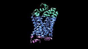 分裂症吃什么药最好 ef9ced759e59e5969773737b3eaa38a0d0ae7dec.jpg@310w_174h_1c_100q.jpg