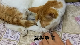 efa3467ca4652fad72e3495ac909a5e0da874232.png@280w_158h_1c_100q.jpg