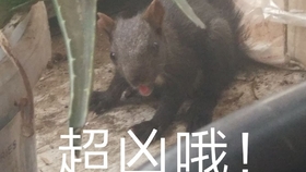 efa89a8371150a4f2675f7ca87c126a8745db011.jpg@280w_158h_1c_100q.jpg