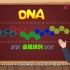 【彩色线科普动画】：DNA是怎么被发现的