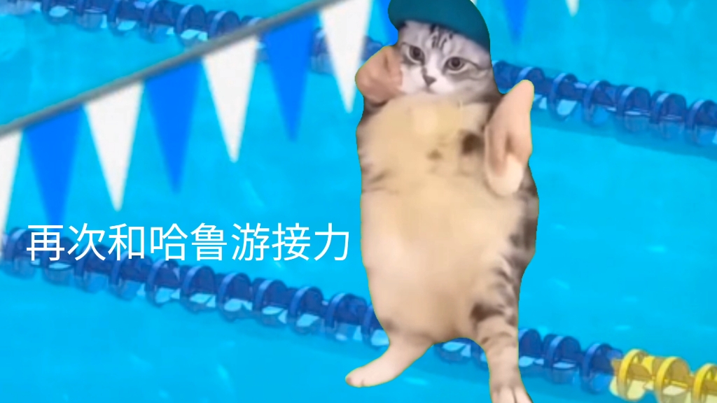 【猫meme】【Free/郁遥】郁弥视角下关于哈鲁的回忆