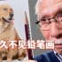 【柴崎爷爷】好久没看爷爷铅笔画了吧！跟着爷爷一起画一画狗狗?吧
