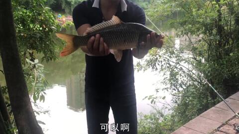 efbf95dd6fcba5fc7b38c8f0f221c09950284468.jpg@480w_270h_1c