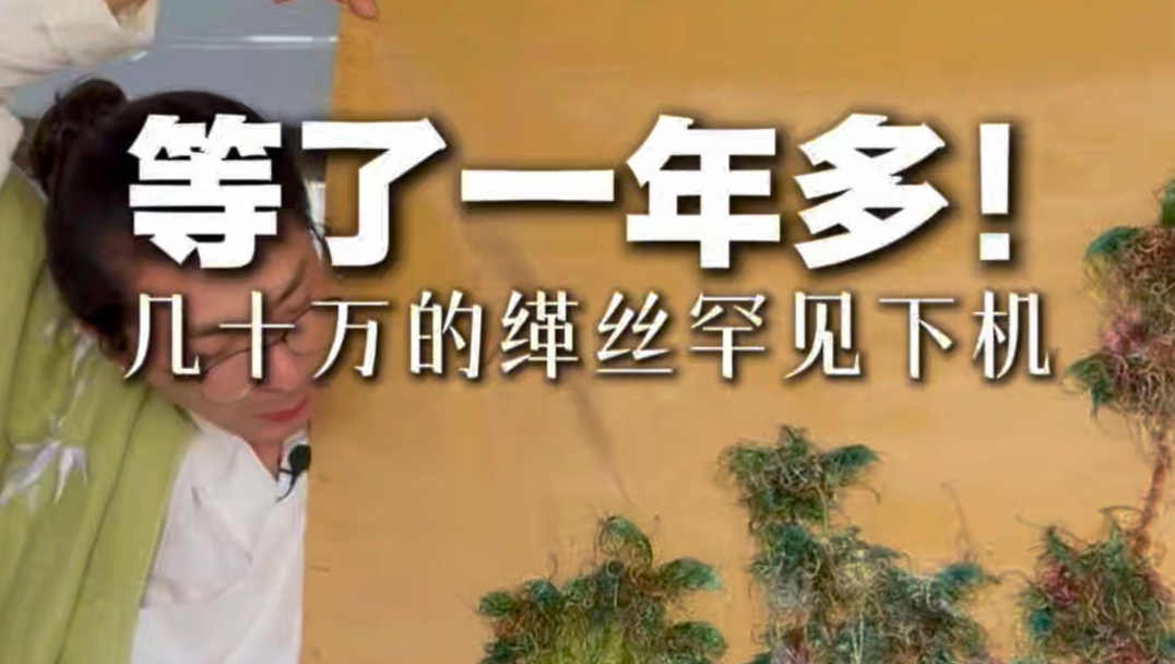 “等了一年多，几十万的缂丝罕见下机”