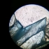 显微镜下的硫酸铜晶体