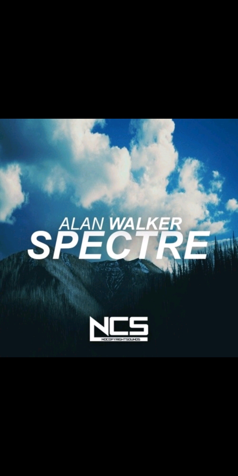 SPECTRE——ALAN WALKER （全损音质）