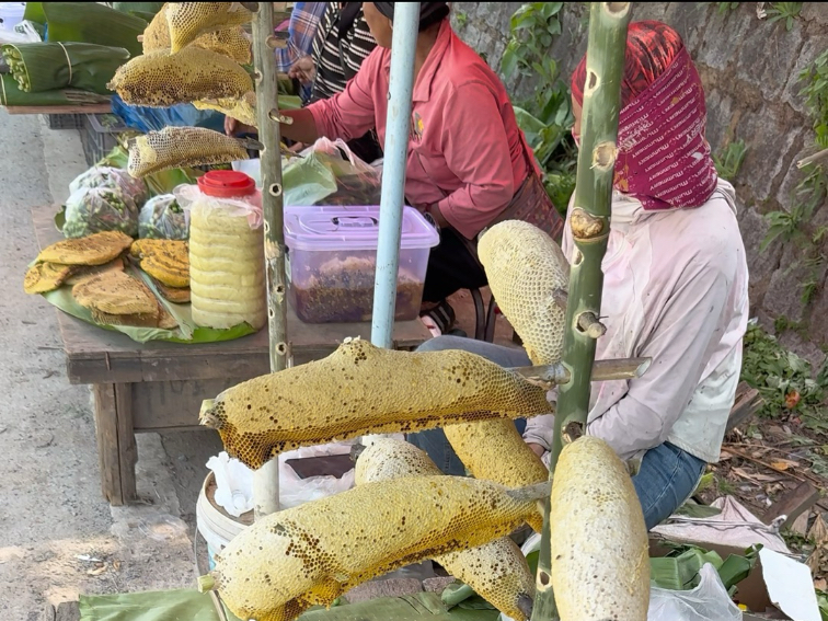 在云南每天都能遇到一些有趣的人和新鲜的事。