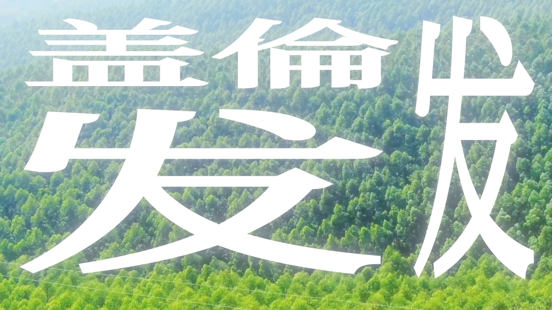 当你迷茫的时候，希望这个盖伦能帮助你发发