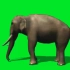 绿幕素材 大象