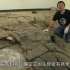 科学公开课：中国的三叠纪海洋爬行动物化石