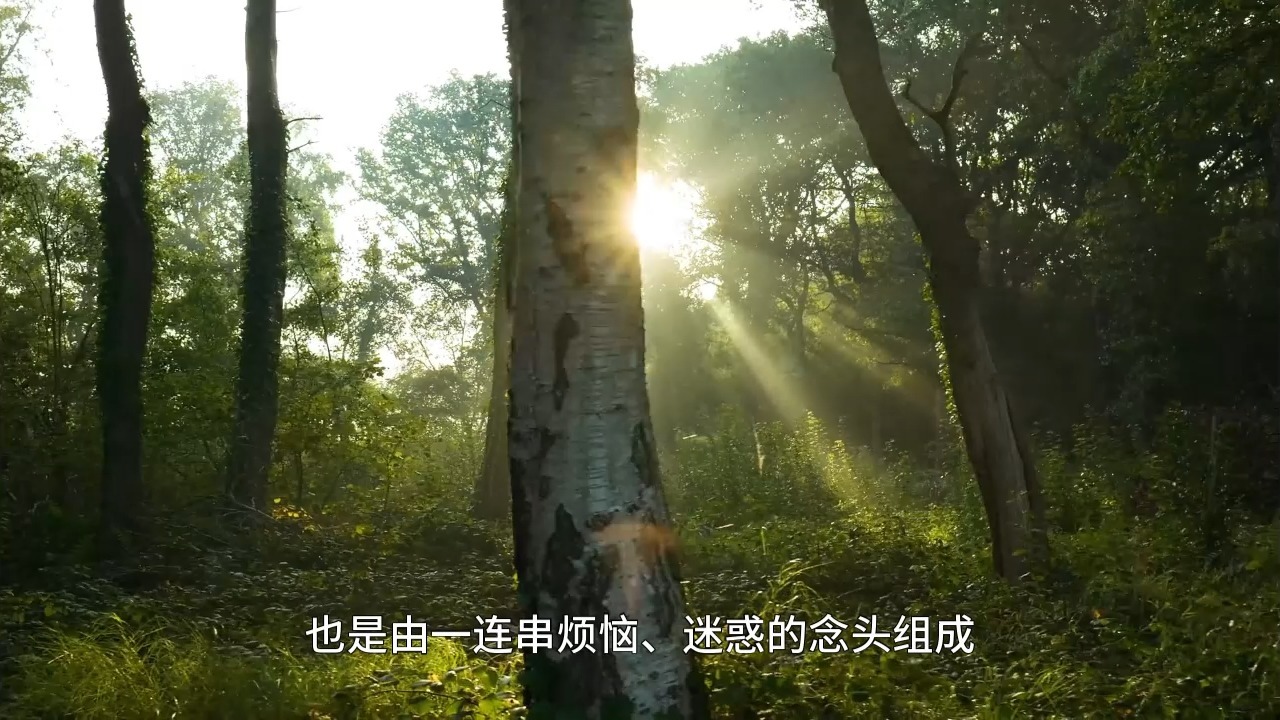 如何把自己的心灵状态稳定在圣人的境界，真正摆脱心在六道中的轮回？五不还天，脱凡入圣！