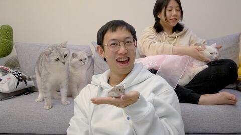 f06cbac13074d5697196ad3acb7b64079f127763.jpg@480w_270h_1c