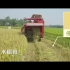 三分钟了解中国的现代农业