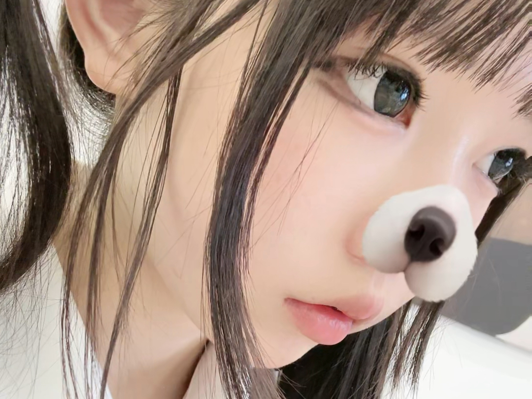 [Softie Cat has become an adult] Video loading, check out the surprises quickly!