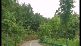 f09c9ca08d3273c860fdc168b9ef92a8f102e574.jpg@280w_158h_1c_100q.jpg