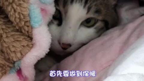 f0a8191c33c0310a6dca2237a6259c90ec4f814d.jpg@480w_270h_1c