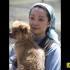 首次曝光《血狼犬》，真实事件改编看忠犬如何力战群狼！