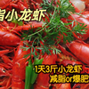 【减脂小龙虾】减脂or增肥？1天3斤小龙虾，体重会有怎样的变化
