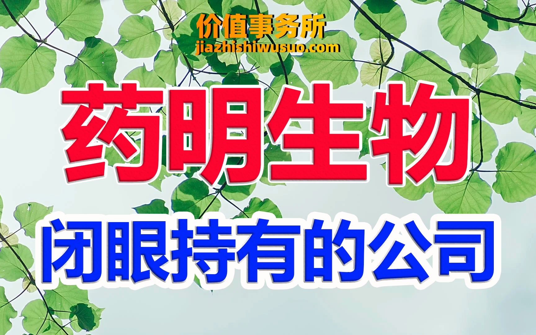 【药明生物】比恒瑞医药还牛,闭眼持有那种,药明生物,大分子医药CXO龙头|价值事务所哔哩哔哩bilibili