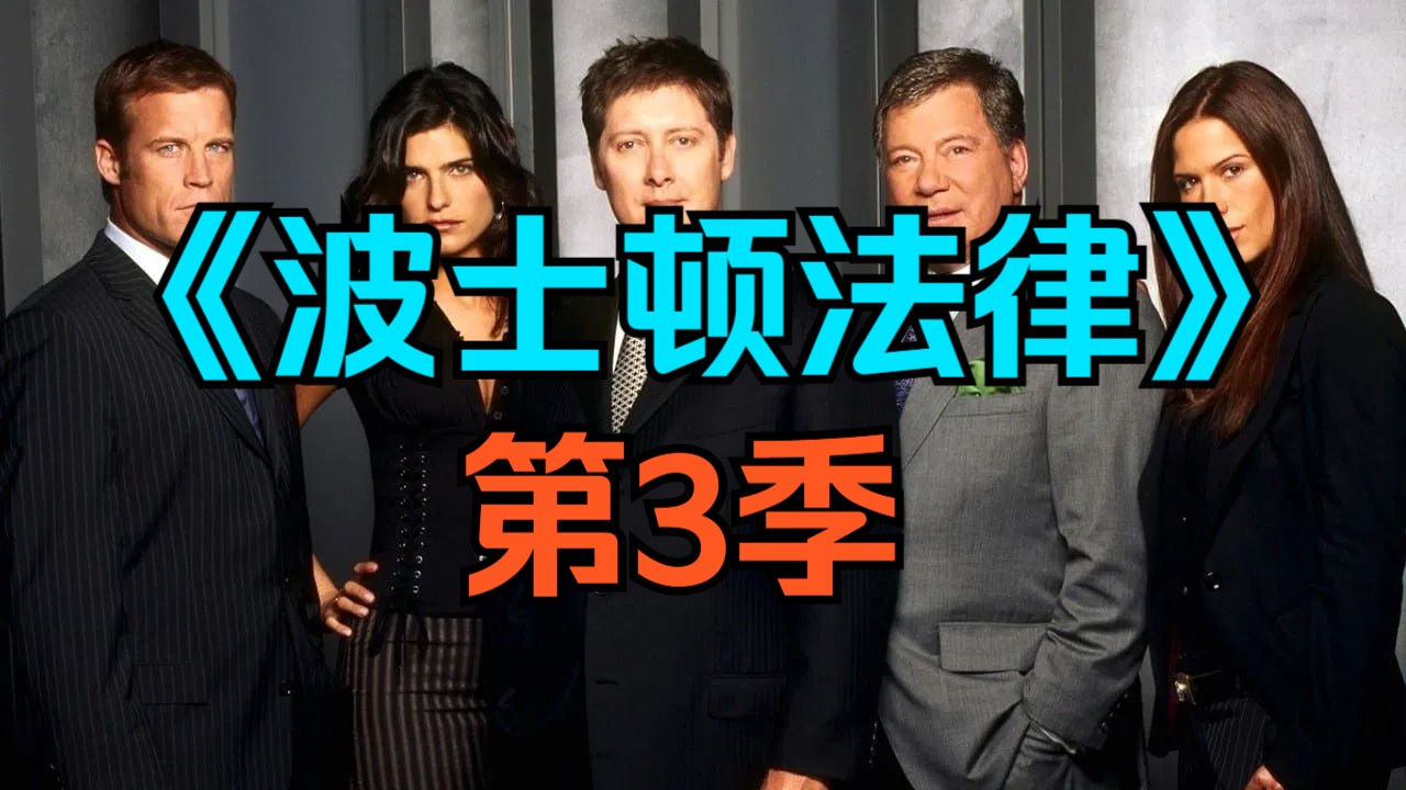 [电视剧] 美剧《波士顿法律》第3季「共24集」