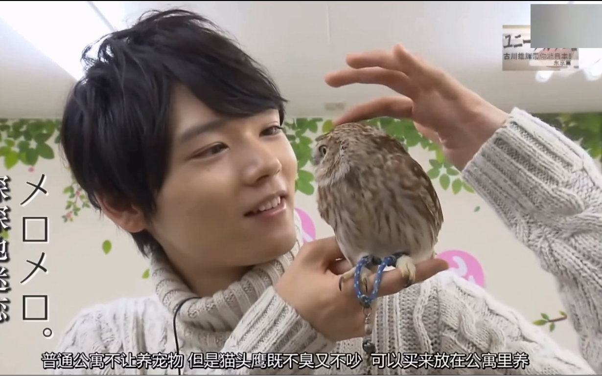 古川雄辉带你游日本2-东京篇视频