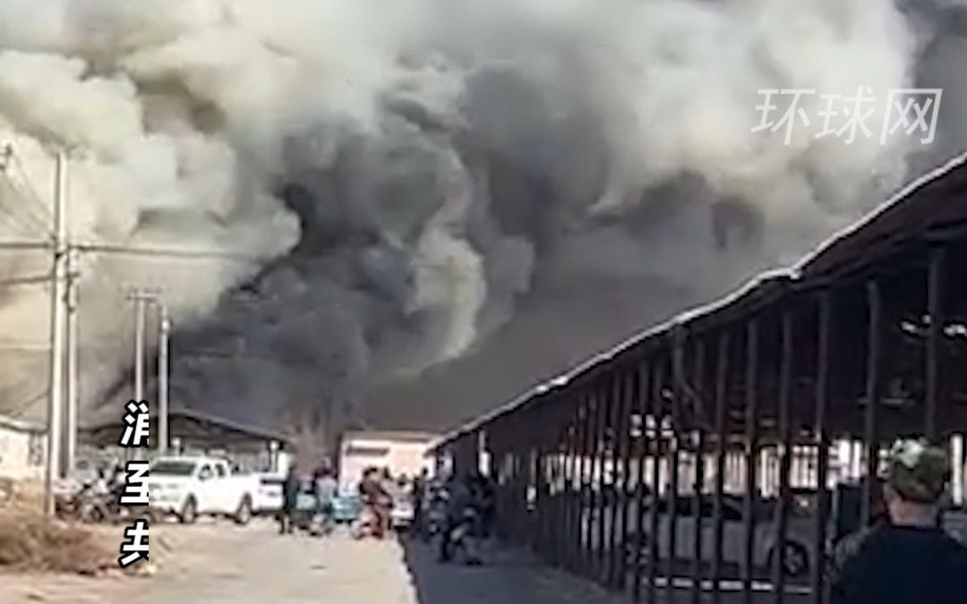 河北沧州一废弃冷库发生火灾，11人死亡