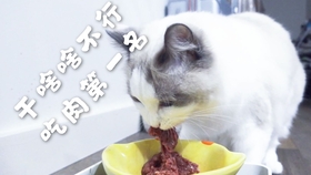 f0f749904801a6923173425430e7a3cde3014a3a.jpg@280w_158h_1c_100q.jpg