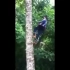 这是怎么做到的，直接从地上走到树上。
