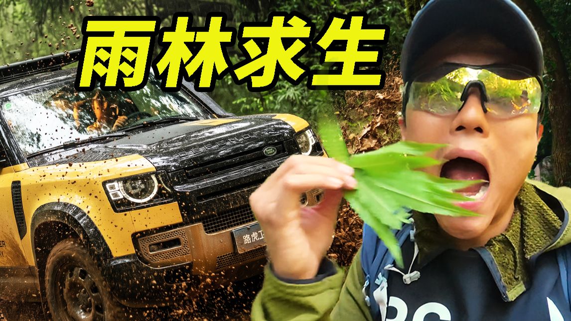吃得苦中苦，方能开路虎？！