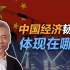 司马南：中国经济韧性体现在哪？