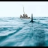 韩国电影《海盗》一条倒霉的鲨鱼被一群海盗活活累死