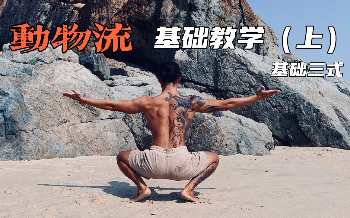 动物流｜从零开始基础教学（上）基础三式