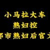 五本都市熟妇后宫文，年上御姐，凤韵十足，小马拉大车