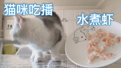 f11c9a2cb48dc4ab650d84e219ebdd291a00e533.jpg@480w_270h_1c