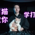 萌猫在线教你打碟！DJ必学的2种接歌手法，学会它90%的音乐都能接上！