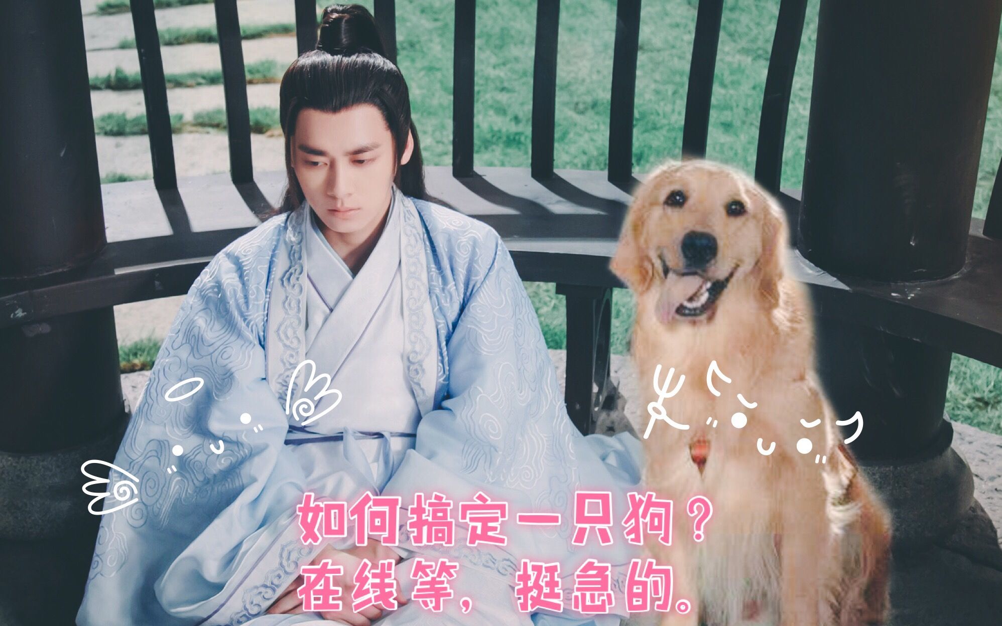 李易峰赵丽颖粉丝团图片