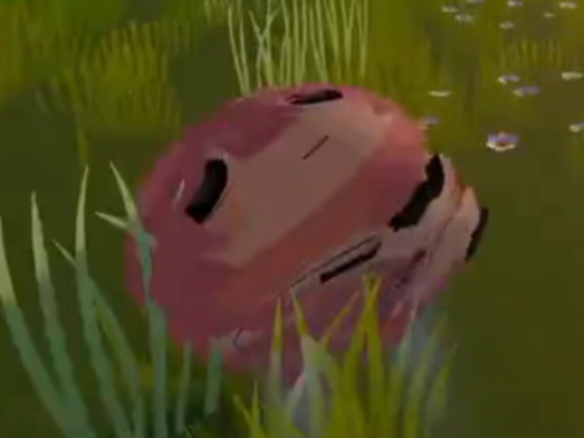 [奶油-cream-]盛开吧~🌸