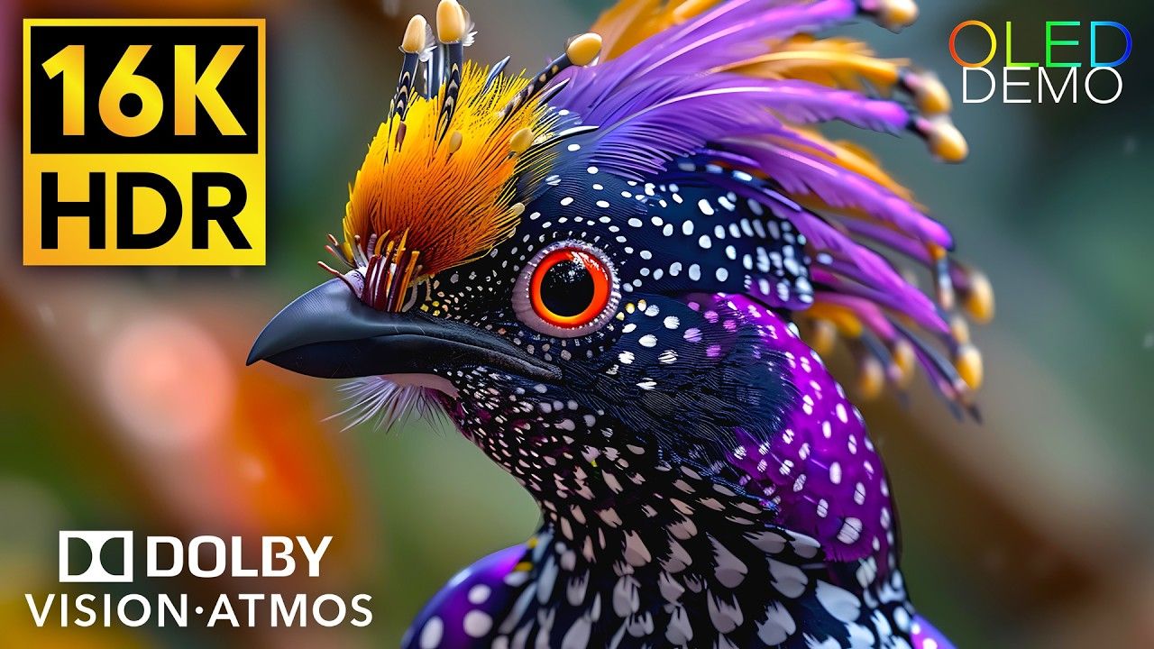 【4K HDR】最佳动态杜比视界4K HDR 120fps|极致画质|杜比视界|电视屏幕测试|手机屏幕测试 |