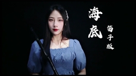 十五的月亮曲谱笛子演奏_十五的月亮笛子曲谱(4)