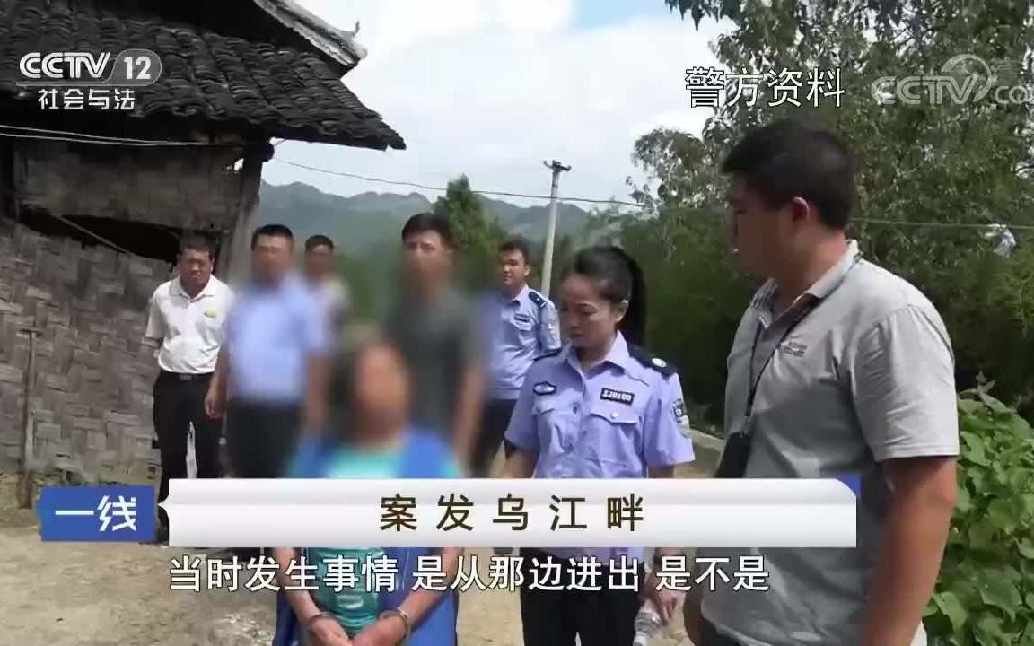 社会与法一线