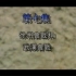 1995年纪录片《血肉长城》第七集（徐州会战和武汉会战）