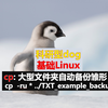 Linux系统基础系列 - cp - 递归拷贝、自动跳过老文件，文件自动备份雏形！cp  -ru * ../TXT_example_backup