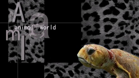 f1d2fc60821279bb2e8e04c933fd99f51945a7a7.jpg@280w_158h_1c_100q.jpg